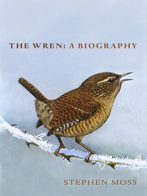 cover image of The Wren
